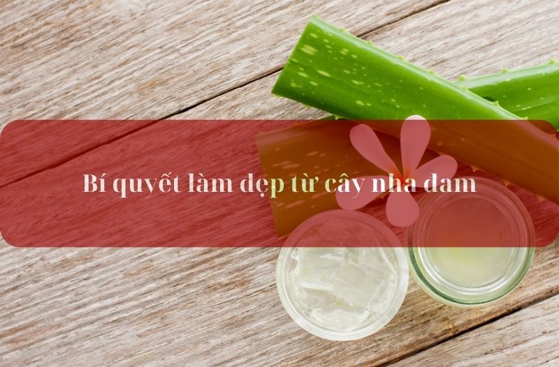 Bí quyết làm đẹp từ cây nha đam