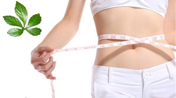 Cách hoán đổi món theo vùng miền và khẩu vị gia đình