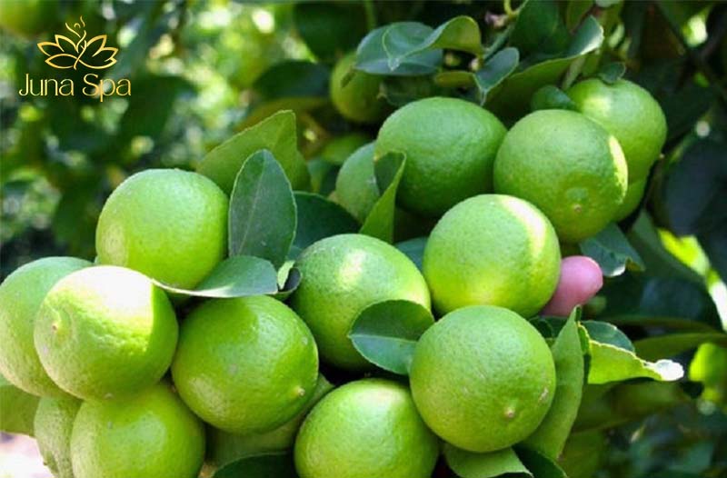 trị nấm da đầu bằng chanh