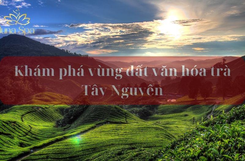văn hóa trà tây nguyên