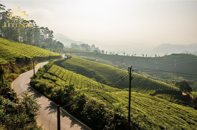 thành phố buôn mê thuột