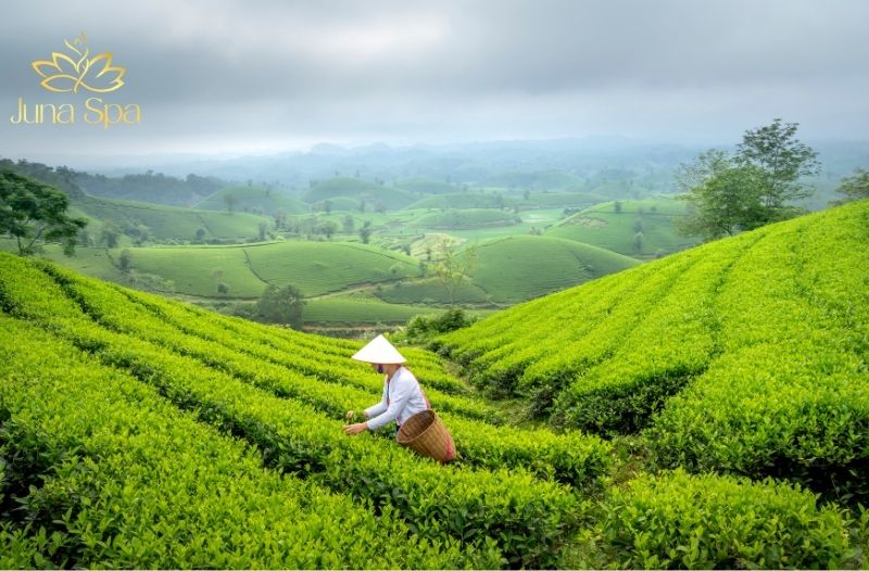 văn hóa trà của người ê đê