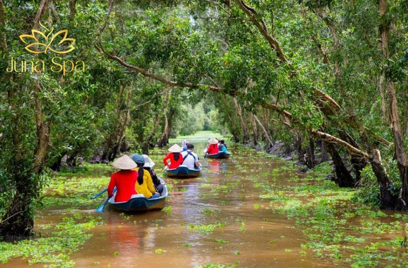 Rừng tràm Trà Sư
