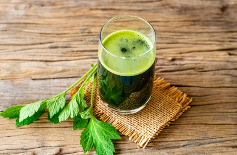 Nước ép ngải cứu