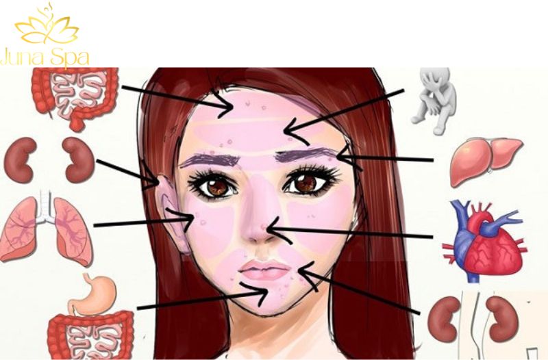 Khi nào bạn nên trải nghiệm dịch vụ chăm da tại spa