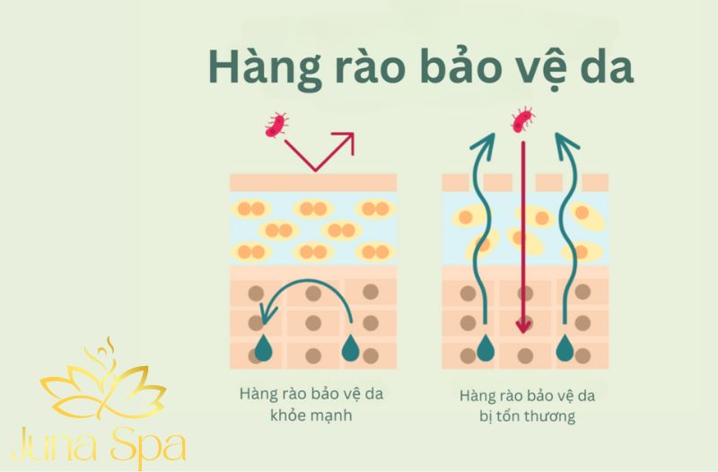 Không chú trọng cấp ẩm khiến da suy yếu từ bên trong