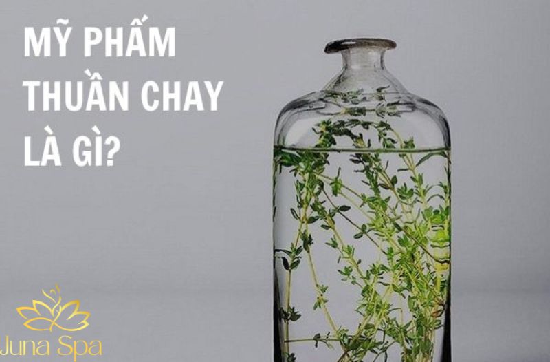 Mỹ phẩm thuần chay là gì và vì sao ngày càng được quan tâm?