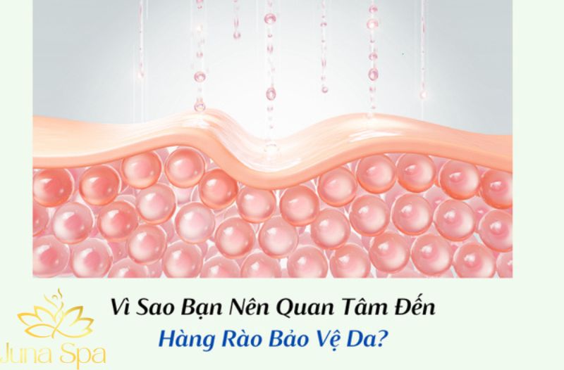 Da yếu là gì và vì sao dễ xuất hiện trước Tết