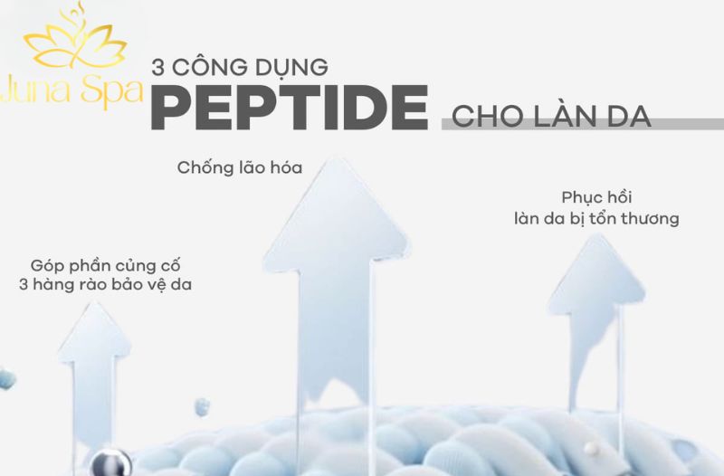 Peptide