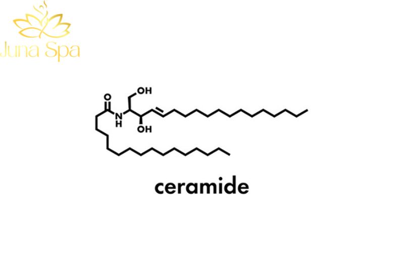 Ceramides